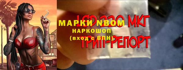 индика Белокуриха