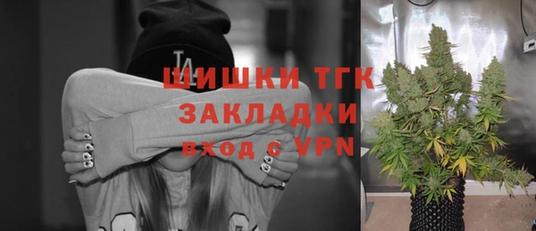 индика Белокуриха