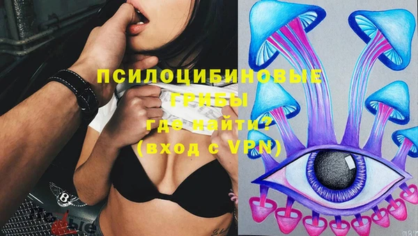 индика Белокуриха