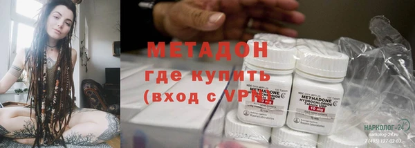 индика Белокуриха