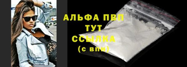 индика Белокуриха