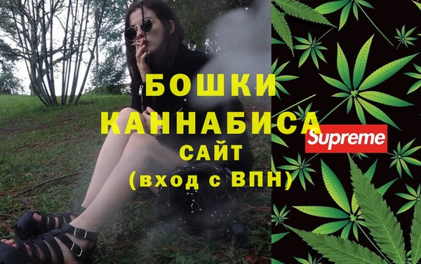 индика Белокуриха