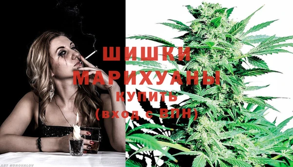 индика Белокуриха