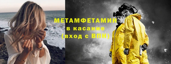 индика Белокуриха