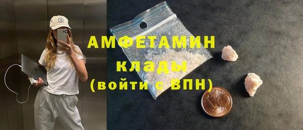 индика Белокуриха