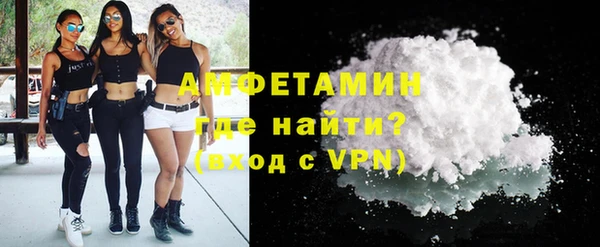 индика Белокуриха